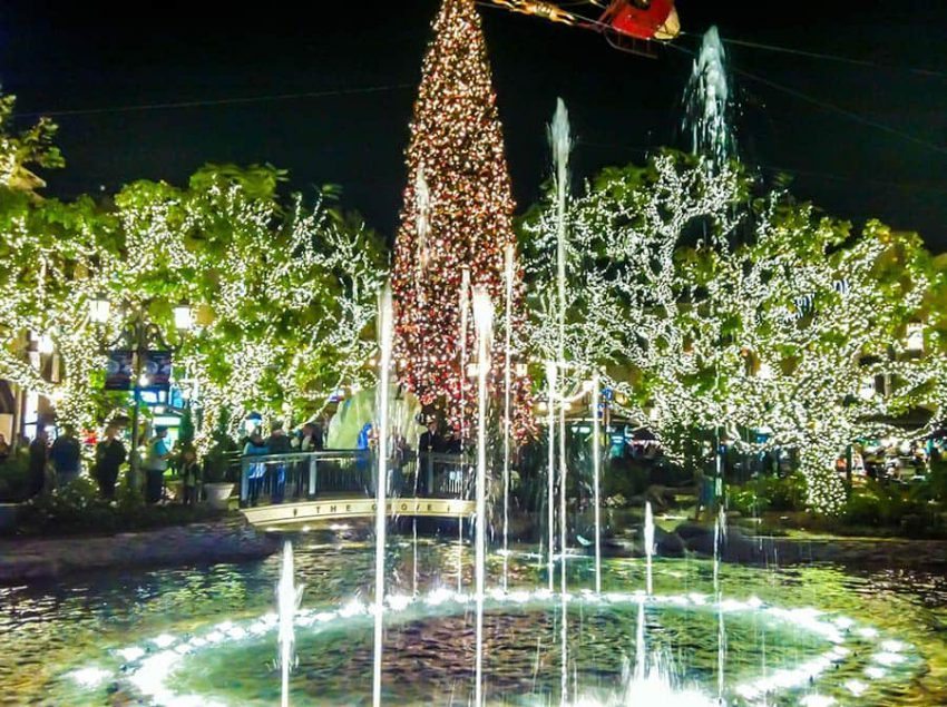 Los-angeles-The-Grove-Gece-2