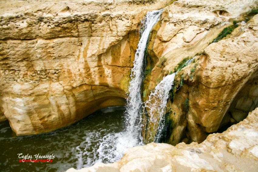 tunis2
