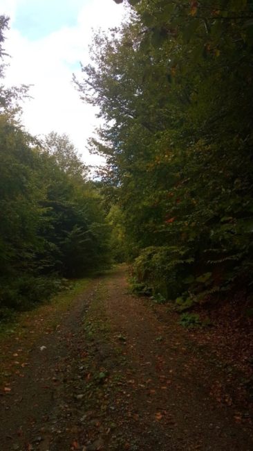 burnuk-koyu-sirinyazi-goleti-11