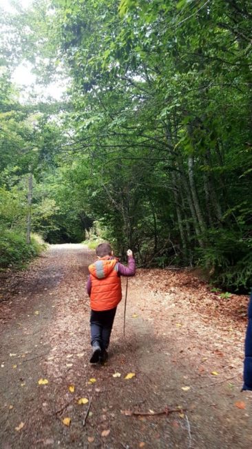 burnuk-koyu-sirinyazi-goleti-7