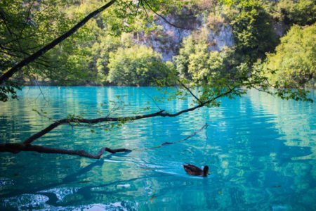 Plitvice Gölleri Milli Parkı