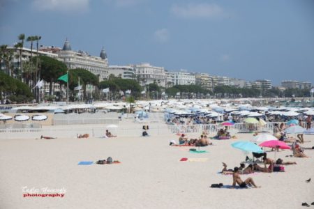 Cannes1